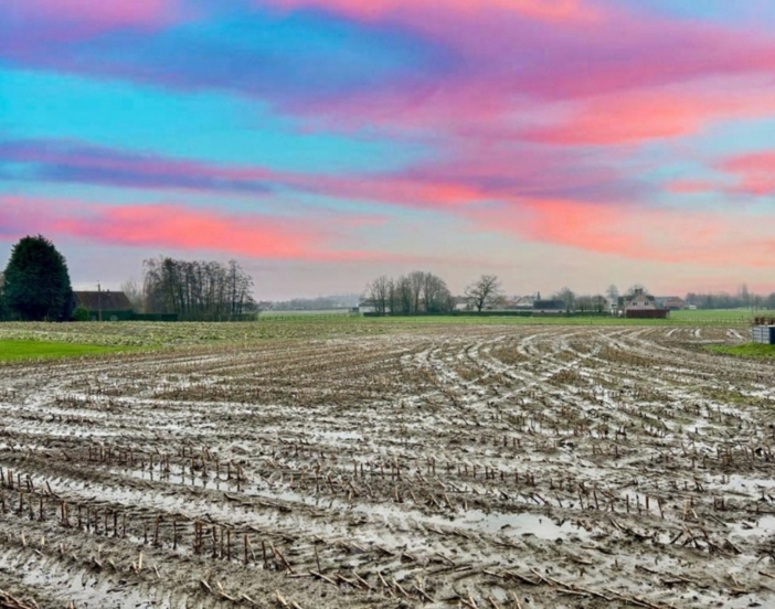 3746002903000040344/4106365